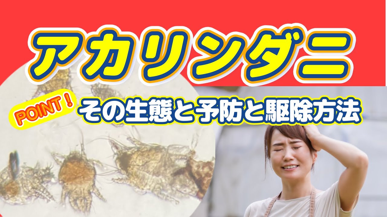 ニホンミツバチを全滅させるアカリンダニの生態と感染予防と駆除方法を考える。「なぜ、セイヨウミツバチがアカリンダニ感染で全滅しない!?」・「なぜ ...