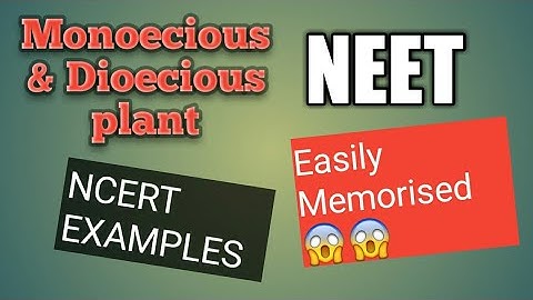 Trick to remember ncert example of  monoecious and dioecious plant