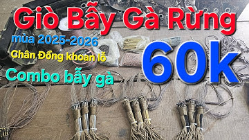 Báo giá giò bẫy gà rừng và phụ kiện đi rừng mùa 2025-2026