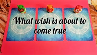 ✨️What wish is about to come true?pick a card tarot 