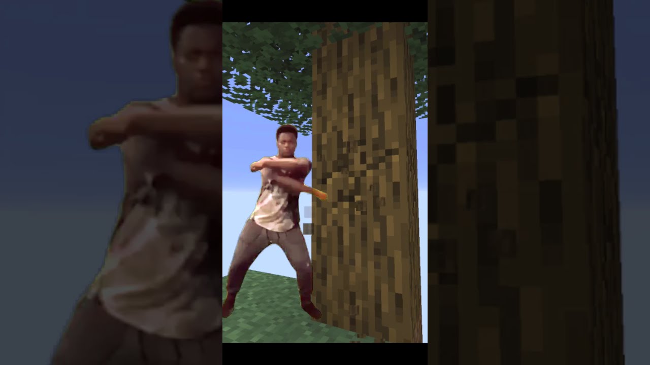 Car Shearer in Skyblock Meme | Minecraft