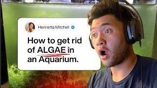TOP 5 TIPS ON HOW TO GET RID OF ALGAE IN AN AQUARIUM