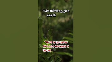 Nhân Sinh | Cổ Nhân Tinh Hoa Trí Tuệ #nhansinh #loiphatday #phunu #baihoccuocsong #cuocsong #phat