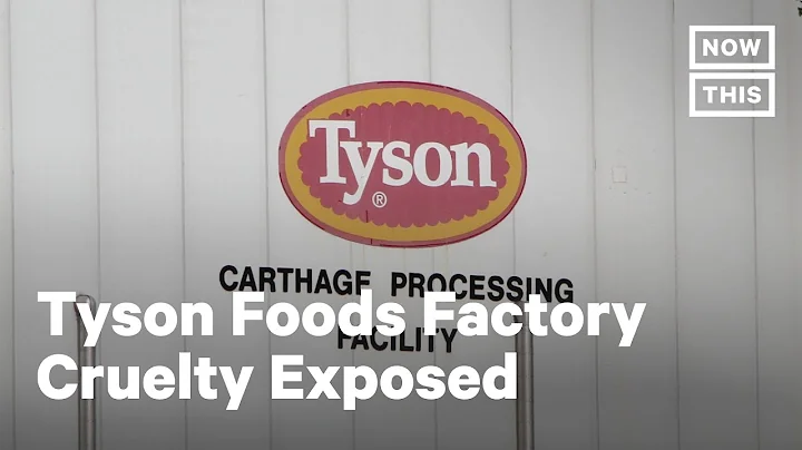 Tyson Foods Accused of Extreme Slaughter Speeds