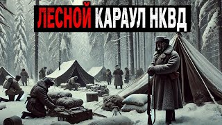 видео: Мы Охраняли СЕКРЕТНЫЙ Обьект в ТАЙГЕ   Ночью пришли ФИГУРЫ УМЕРШИХ СОЛДАТ картинка: Мы Охраняли СЕКРЕТНЫЙ Обьект в ТАЙГЕ   Ночью пришли ФИГУРЫ УМЕРШИХ СОЛДАТ