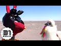 31 minutos - Nota verde - Desierto de Atacama