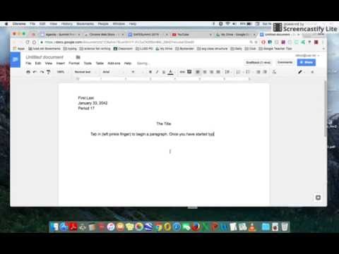 typed essay format