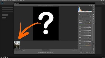 How to fix Camera Raw showing a black preview & no image.