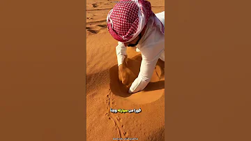 وجد هذا الرجل سمكة الرمل في الصحراء 