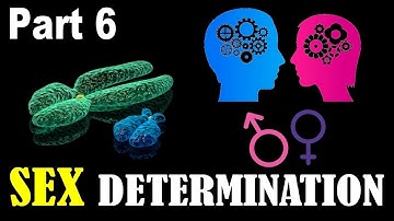Principles of inheritance and variation - Part 6 Sex determination