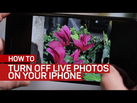 Turn Off Live Photos On Your Iphone Youtube