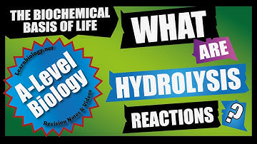 What are Hydrolysis reactions? | A-Level Biology