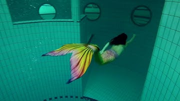 Freedive zeemeermin