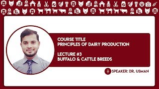 lecture| 3| |part 2|principles of dairy production| Buffalo breeds