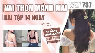 14 DAYS CHALLENGE | Bài tập vai thon mảnh mai cho nữ | Slim your shoulder exercise | Bài 737