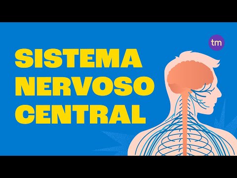 Vídeo: Como você analisa o SNP?