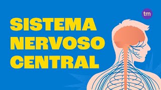 Como funciona o Sistema Nervoso Central?