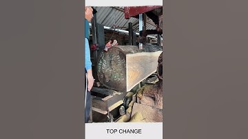 Wood processing, cutting logs on the board #goodtools #smartwork #fpy #foryou