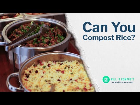 Can You Compost Rice? All You Need to Know hqdefault