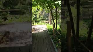 Musée Albert-Khan Albert Khan Museum And Garden 4