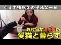 アラフォー独身一人暮らし【黒猫と夕飯争奪バトル】婚活女の一日