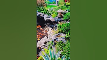Sân vườn đẹp mắt với hồ cá koi và tiếng chim ca 🌺🐟🦜