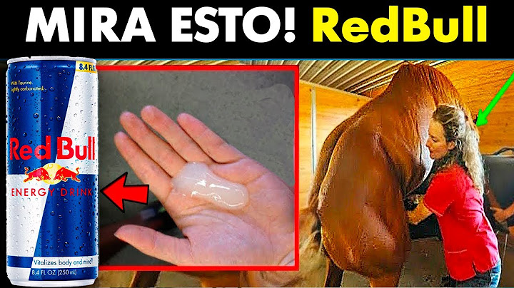 😰CÓMO Se Hace RED BULL en una Fábrica de Bebidas Energéticas