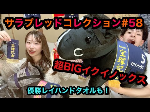 サラブレッドコレクション#58】ふわふわBIGのスターズオンアース