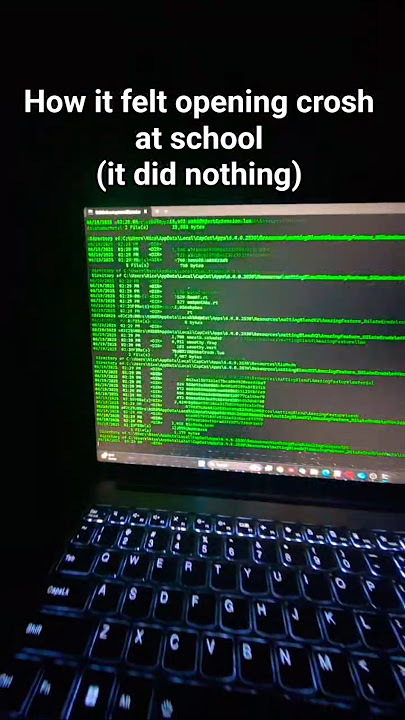crosh be like: 🧑‍💻 #funny