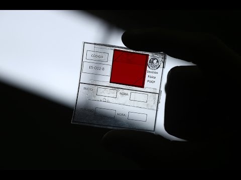 Video: ¿Se puede pintar el sello de radón?
