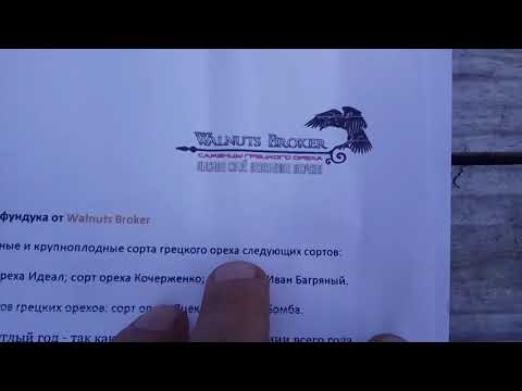 Слова благодарности Walnuts Broker за 🌰 орех Иван Багряный.