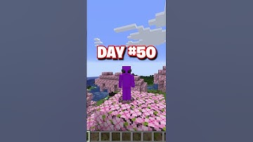 Day 50: Building a Minecraft House One Block a Day