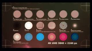 Two Strip Technicolor (The Aviator) Test card