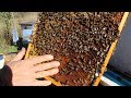 Сборка гнезд пчел | Подготовка к зимовке