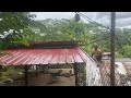 Continue the roof