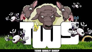 Team Wooly Sheeps 1st BQE of 2023 in Velocidrone!