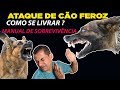 ATAQUE DE CÃO FEROZ - COMO SE LIVRAR