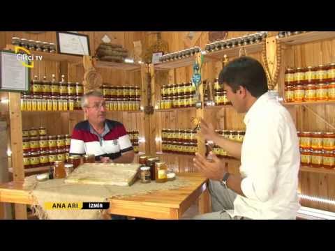 ANA ARI - HÜSEYİN CEYLAN ve MEHMET ÖZTÜRK