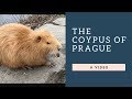 The Coypus (Nutria) of Prague
