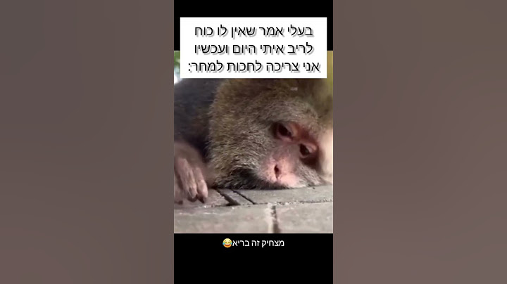 זה לא יפה לתת לי לחכות ככה😂 מצחיק זה בריא😂 הרשמו בחינם לערוץ😍