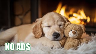 видео: 12 Часов Музыки для Глубокого Сна Собак 🐶 Облегчение Тревоги Разлуки 🎵 Лечебная Музыка 💖 Без Рекламы картинка: 12 Часов Музыки для Глубокого Сна Собак 🐶 Облегчение Тревоги Разлуки 🎵 Лечебная Музыка 💖 Без Рекламы