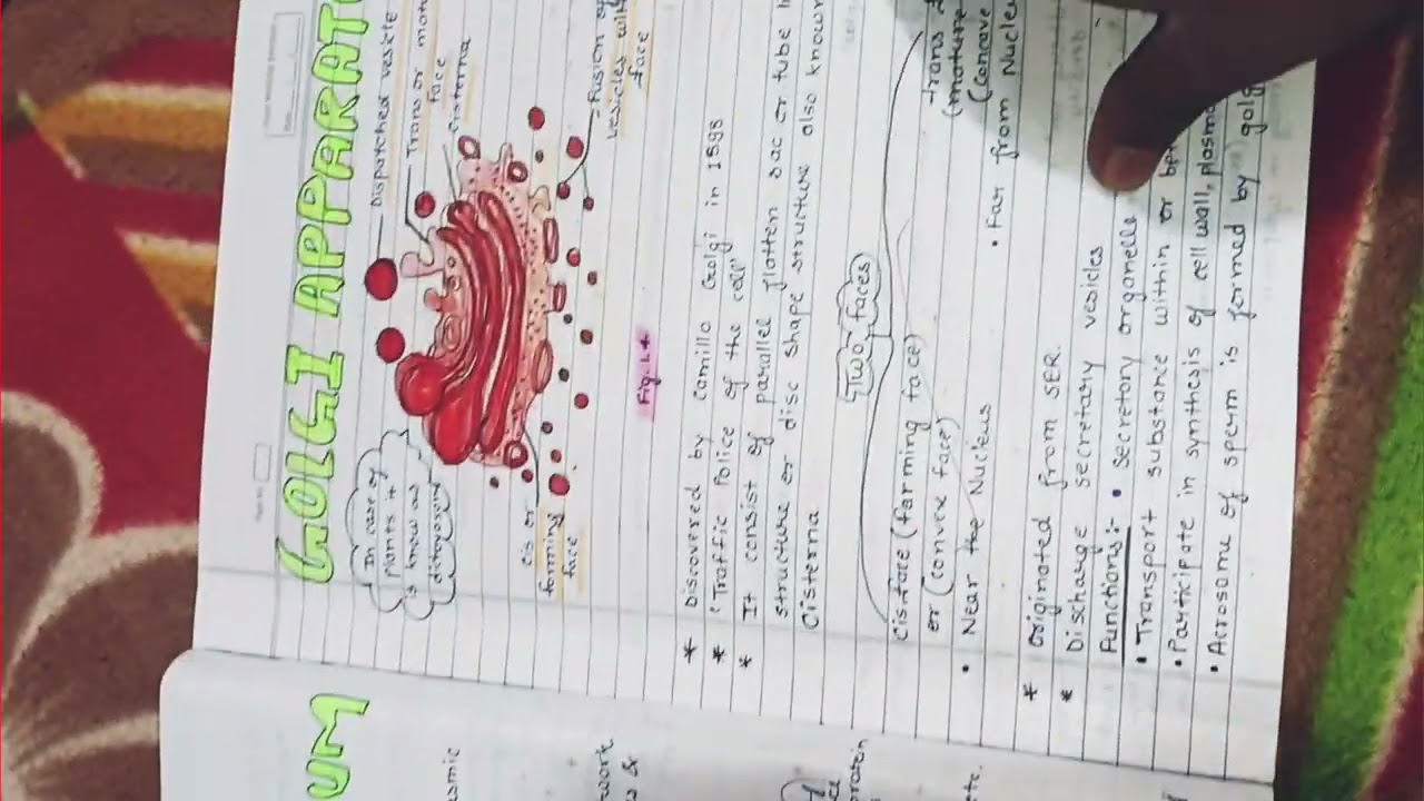 Biology chapter 1 notes