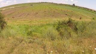 Filmare Touareg si Frontera  cu GO PRO 2-Zona Tirgusor-Cheia-Soft off-road -Constanta.Fun in nature. screenshot 5