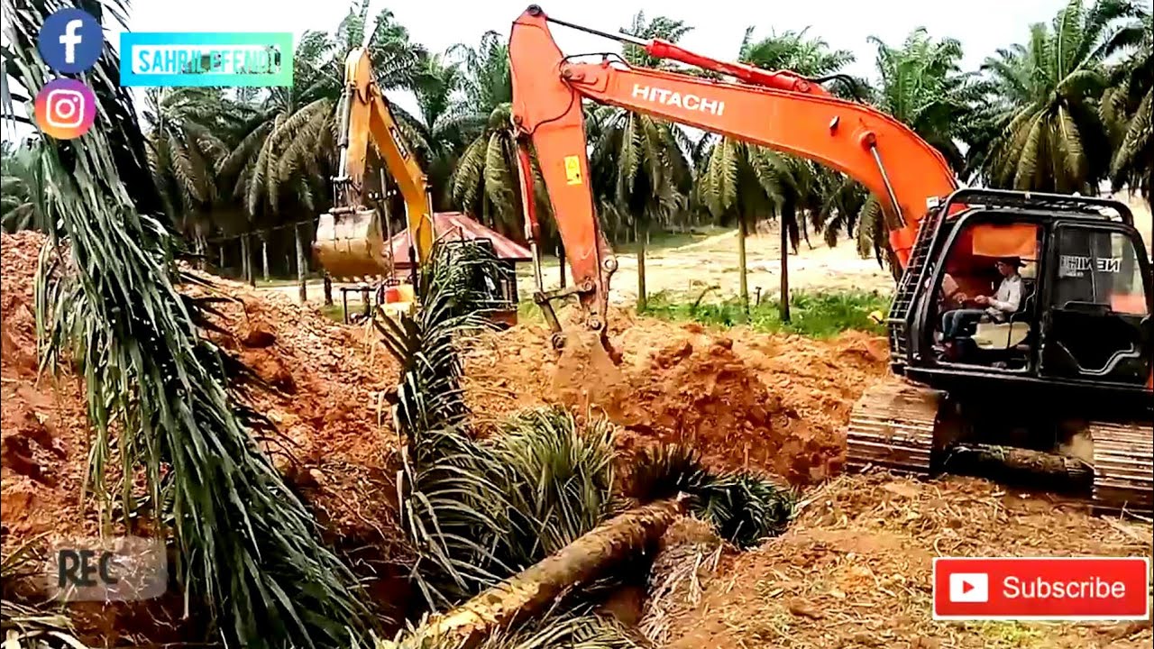 Replanting TUMBANG TIMBUN Pokok Kelapa Sawit || Alat Berat || Excavator 5 G Hitachi 210 F
