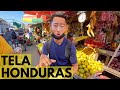 Arriving at Tela, the most touristic beach city in Honduras 🇭🇳🏝 Ep. 1
