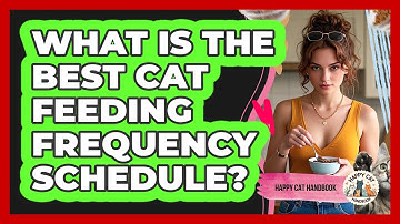 What Is The Best Cat Feeding Frequency Schedule?