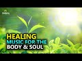 Healing Music for The Body & Soul l Let Go Of Stress & Anxiety l Positive Energy Morning Music