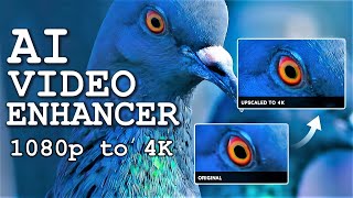 Transform Your Video Quality to 4K with AI Upscaling - AVCLabs Video Enhancer AI