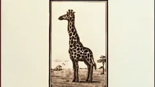 Чарльз Дарвин Происхождение видов серия 5 жираф screenshot 5