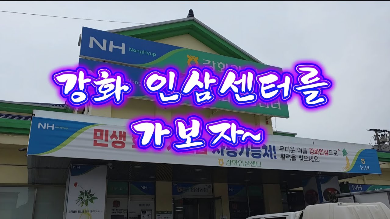 강화 인삼센터를 가보자 #강화도 #인삼 #산삼 